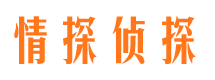 大丰情探私家侦探公司